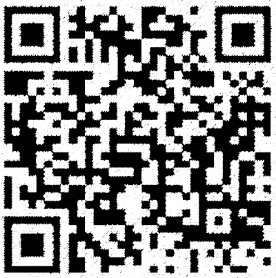 Lightning QR Code